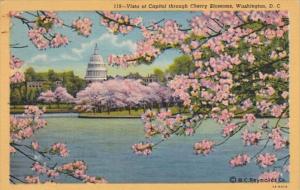 Washington D C View Of Capitol Through Cherry Blossoms Curteich