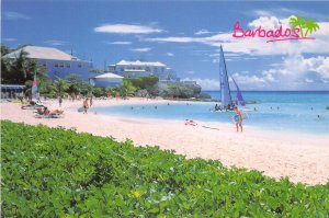 Lot167 caribbean barbados accra beach