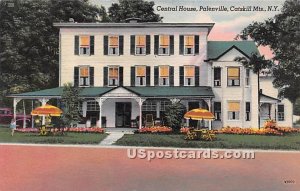 Central House, Catskill Mountain - Pelenville, New York NY  