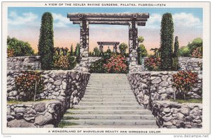 A View of the Azalea Ravine Gardens, Palatka, Florida, 30-40s