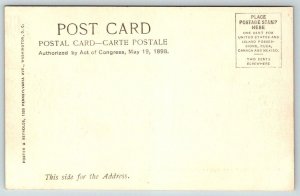 State, War and Navy Building    Washington  DC    Postcard