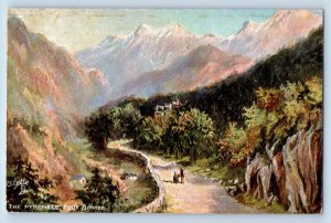 Eaux Bonne France Postcard The Pyrenees c1910 Unposted Oilette Tuck Art