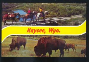 KAYCEE WYOMING BUFFALO HORSE RIDING VINTAGE POSTCARD WYO. COWBOYS