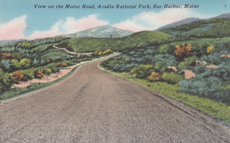 Bar Harbor, Maine, View On Motor Road, Acadia National Park