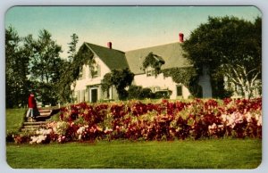 Green Gables, Cavendish, Prince Edward Island, Canada, Vintage PECO Postcard