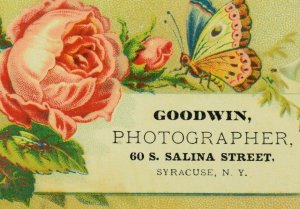 1870's-80's Lovely Goodwin Photographer 60 S. Saline St, Syracuse, NY Card F82