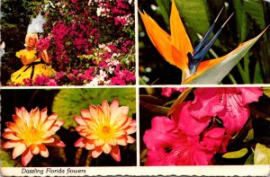Florida Dazzling Flowers Hibiscus Bird Of Paradise and More 1979