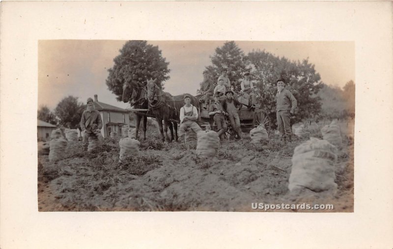 Farmers in Fort Fairfield, Maine