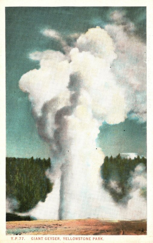 Vintage Postcard Giant Geyser Yellowstone National Park Boiling Water Steam WY