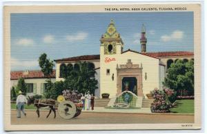 The Spa Hotel Agua Caliente Tijuana Mexico linen postcard