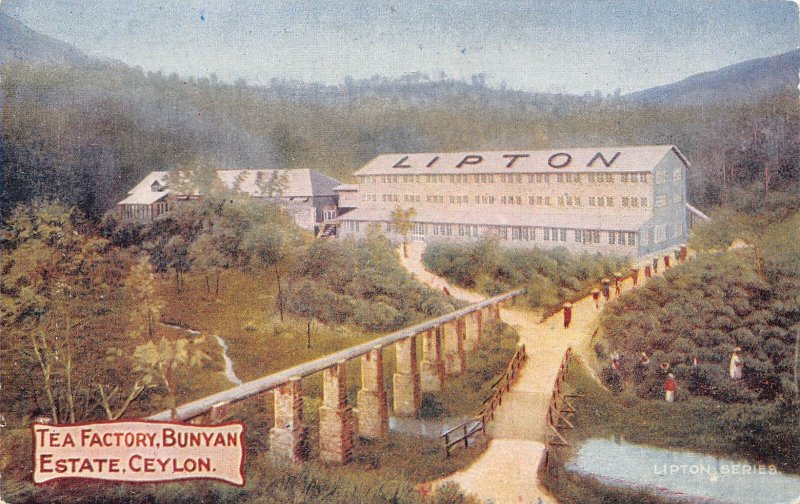 B431 Ceylon Sri Lanka The Factory Bunyan Estate Lipton vintage postcard