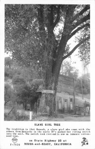 Postcard RPPC 1949 California Rough & Ready Slave Girl Tree Frasher CA24-1550