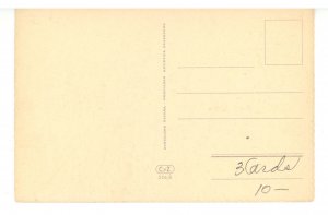 An Equestrian and Her Dog #2