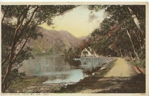 Scotland Postcard - Loch Katrine Path By The Loch - Stirlingshire - Ref TZ7518