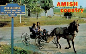 Amish Women and Children in Open Buggy near Intercourse, PA in Lancaster Coun...