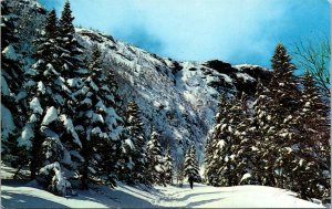 Vermont, Stowe - Toll Road - Mt Mansfield - [VT-094]