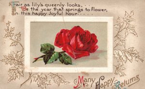 Vintage Postcard Many Happy Returns Fair As Lily's Queenly Looks Greetings Rose