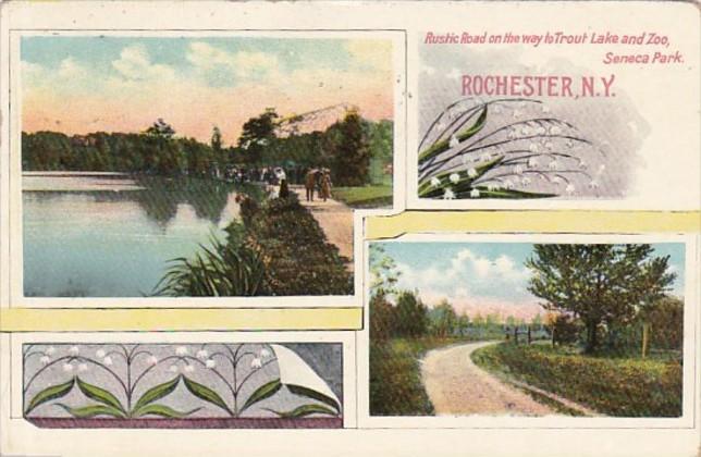 New York Rochester Rustic Road On Way To Trout Lake and Zoo Seneca Park 1909