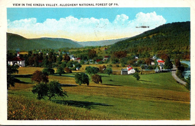 Pennsylvania Allegheny National Forest View In The Kinzua Valley 1948