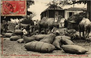 CPA Fortier 540 Le Traite des Arachides Arrivage de Graines SÉNÉGAL (670764)