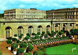 Chateau de Versailles La Parc L'Orangerie