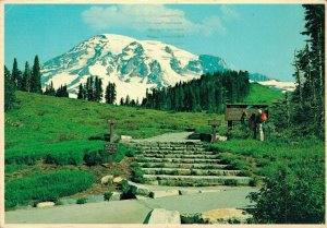 USA Washington Mount Rainier National Park Vintage Postcard BS.10