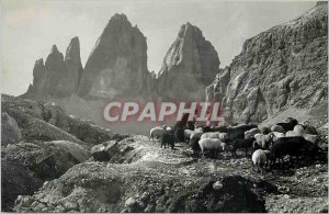 Postcard Modern Tre Cime di Lavaredo 3003 Shepherd Dog Sheep