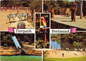 B22306 Zoo Gaden Dortmund Tierpark