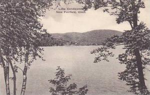 Connecticut New Fairfield Lake Candlewood Albertype