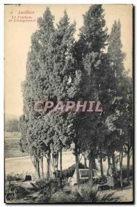 Old Postcard Antibes tomb Championnet