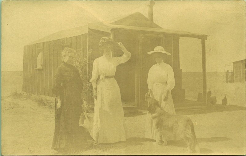 RPPC Women dog chickens Homestead Claim Shanty Shack Real Photo Postcard