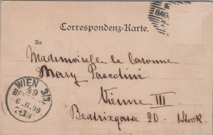 Germany Baden Schloss Doblhof Vintage Postcard C370