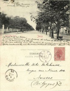 romania, IAȘI YASSY, Bulevardul Copou (1903) Postcard