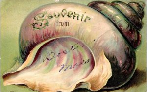 Boston, MA Massachusetts  CONCH SHELL SOUVENIR   1909 Embossed Postcard