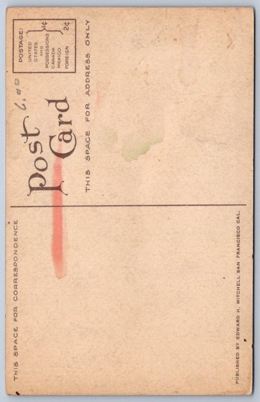 K49/ Native American Indian Postcard c1910 Pueblo Brave Tribe 438