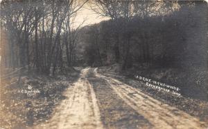 Estherville Iowa~Dirt Road in Forest~Emmet County~c1910 Doolittle Photo RPPC