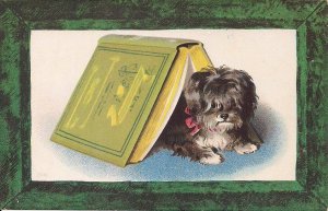 Cute Little Dog Playing in Book, pre 1907, German Lithograph, Animal Portrait