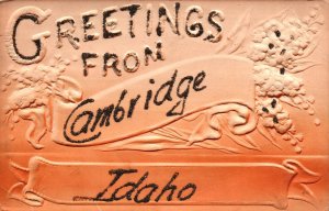 Greetings from Cambridge, Idaho - Embossed, Glittered - c1908 - Vintage Postcard