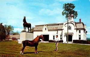 Horses Morgan Horse Farm University Of Vermont Weybridge Vermont