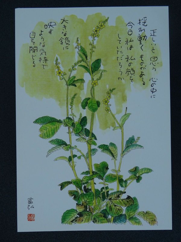 AGRIMONY Paintings Poems by Japanese Disabled Artist Tomihiro Hoshino PC