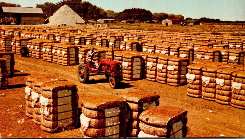 Bales Of Cotton With Cotton Gin In Background