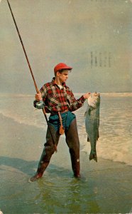 Surf Fishing Man With Striped Bass A Good Catch 1961