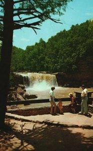 Vintage Postcard Scenic View Cumberland Falls State Park Near Corbin Kentucky KY