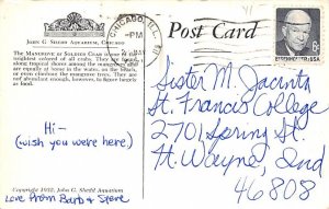 Magrove Crab View Images 