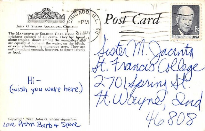 Magrove Crab View Images 