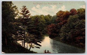 1909 Cass River Vassar Michigan MI Beautiful Forest Trees Waters Posted Postcard