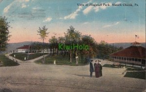 Postcard View of Flagstaff Park Mauch Chunk PA