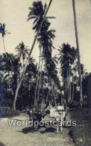 Real Photo Bullock Cart Malaya, Malaysia Unused 