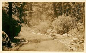 c1930s RPPC Postcard Road by the Ruidoso River NM Lincoln or Otero County