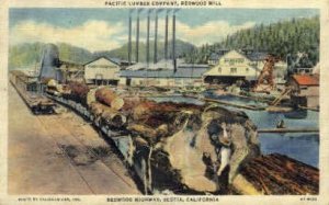 Redwood Mill - Scotia, CA